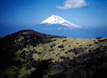 治山・林道・保安林関係書籍ご案内